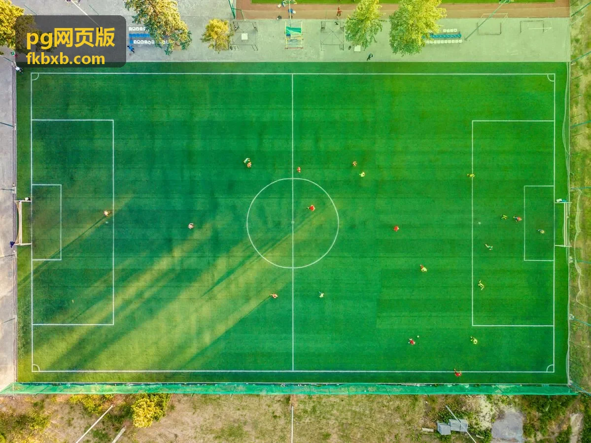 pg网页版在手机端自适应显示的页面效果