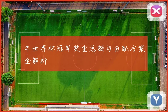 年世界杯冠军奖金总额与分配方案全解析
