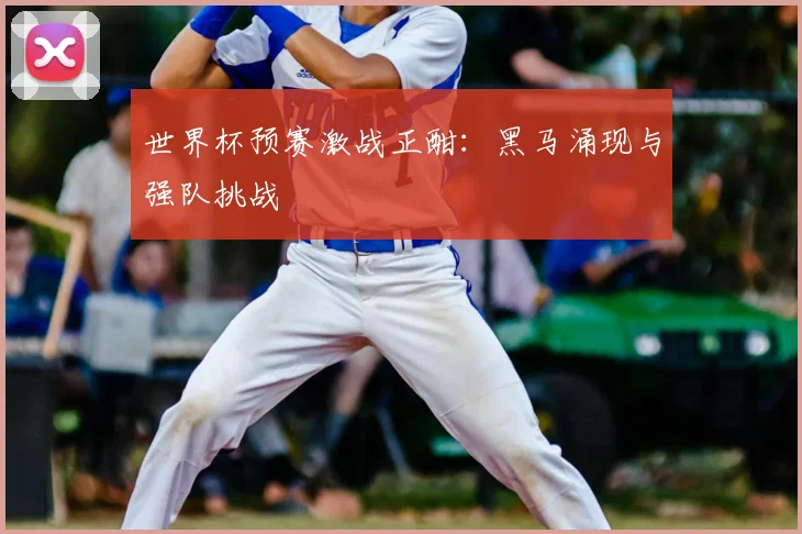 世界杯预赛激战正酣:黑马涌现与强队挑战