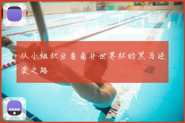 从小组积分看南非世界杯的黑马逆袭之路