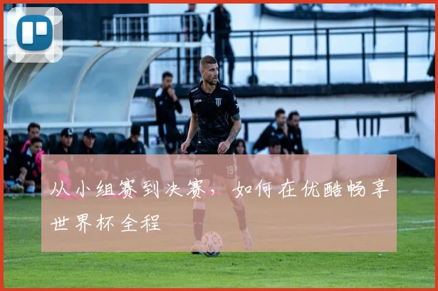 从小组赛到决赛,如何在优酷畅享世界杯全程
