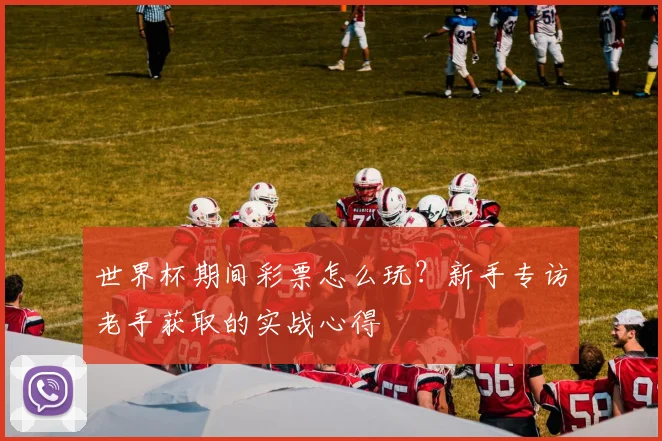 世界杯期间彩票怎么玩?新手专访老手获取的实战心得