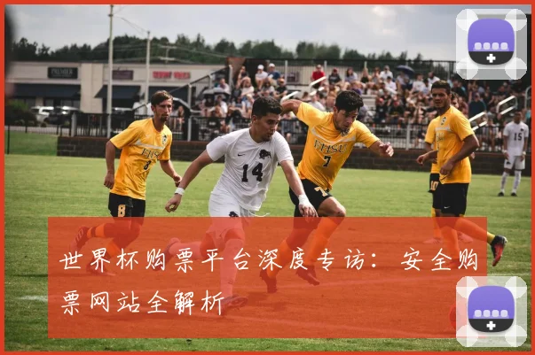 世界杯购票平台深度专访:安全购票网站全解析