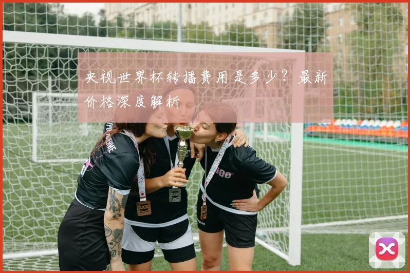 央视世界杯转播费用是多少？最新价格深度解析