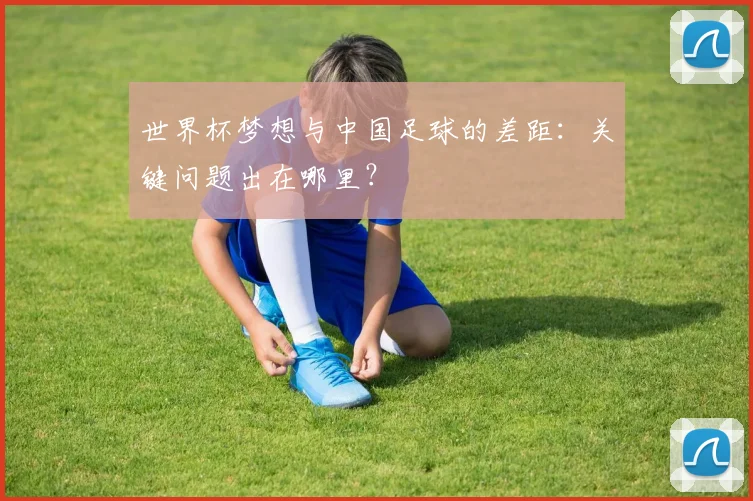 世界杯梦想与中国足球的差距：关键问题出在哪里？